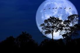 Bầu trời sắp xuất hiện siêu trăng giun, siêu trăng hồng kèm nguyệt thực nửa tối