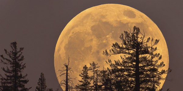 Siêu trăng lớn nhất thế kỷ sẽ xuất hiện vào ngày 14/11, và Việt Nam xem được nhé!