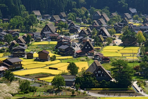 Shirakawa-go, ngôi làng xinh như thế giới cổ tích ở Nhật
